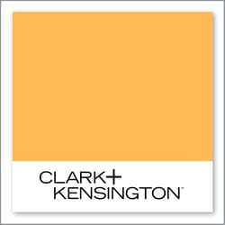 Clark+Kensington Marigold Bouquet 15D-4