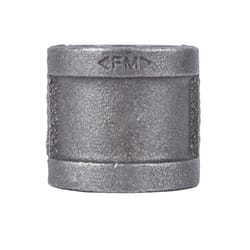 STZ Industries 1/8 in. FIP each X 1/8 in. D FIP Black Malleable Iron Coupling