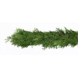 Wishon Evergreens Green Cedar Garland Garland