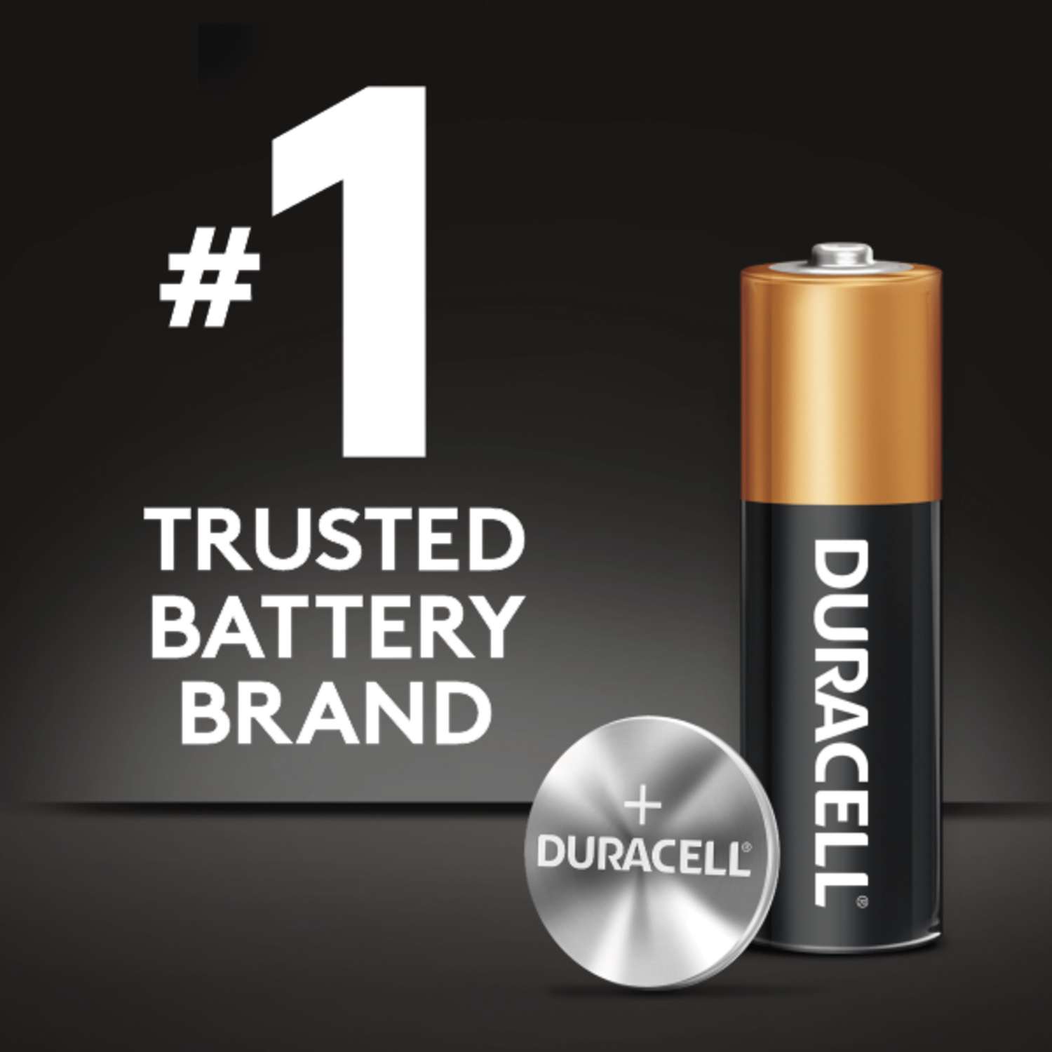 Duracell Coppertop AAA Alkaline Batteries 16 pk Carded Ace Hardware