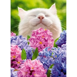 Avanti Press Seasonal Cat Smelling Hyacinths Cute Easter Card Paper 2 pc