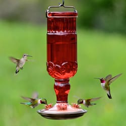 Perky-Pet Hummingbird 24 oz Copper/Glass Nectar Feeder 4 ports