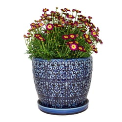 Trendspot 12.5-in W x 10-in H Terra Cotta Clay Outdoor Planter in the Pots  & Planters department at