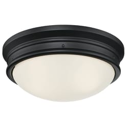 Westinghouse Meadowbrook Switch Incandescent Matte Black Wall Pack Light Fixture Hardwired
