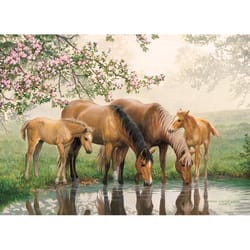 Cobble Hill Watering Hole Tray Puzzle Multicolored 35 pc