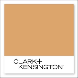 Clark+Kensington Wheat Field 16B-6