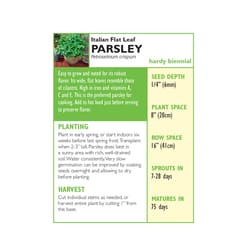 Lake Valley Seed Herb Seeds