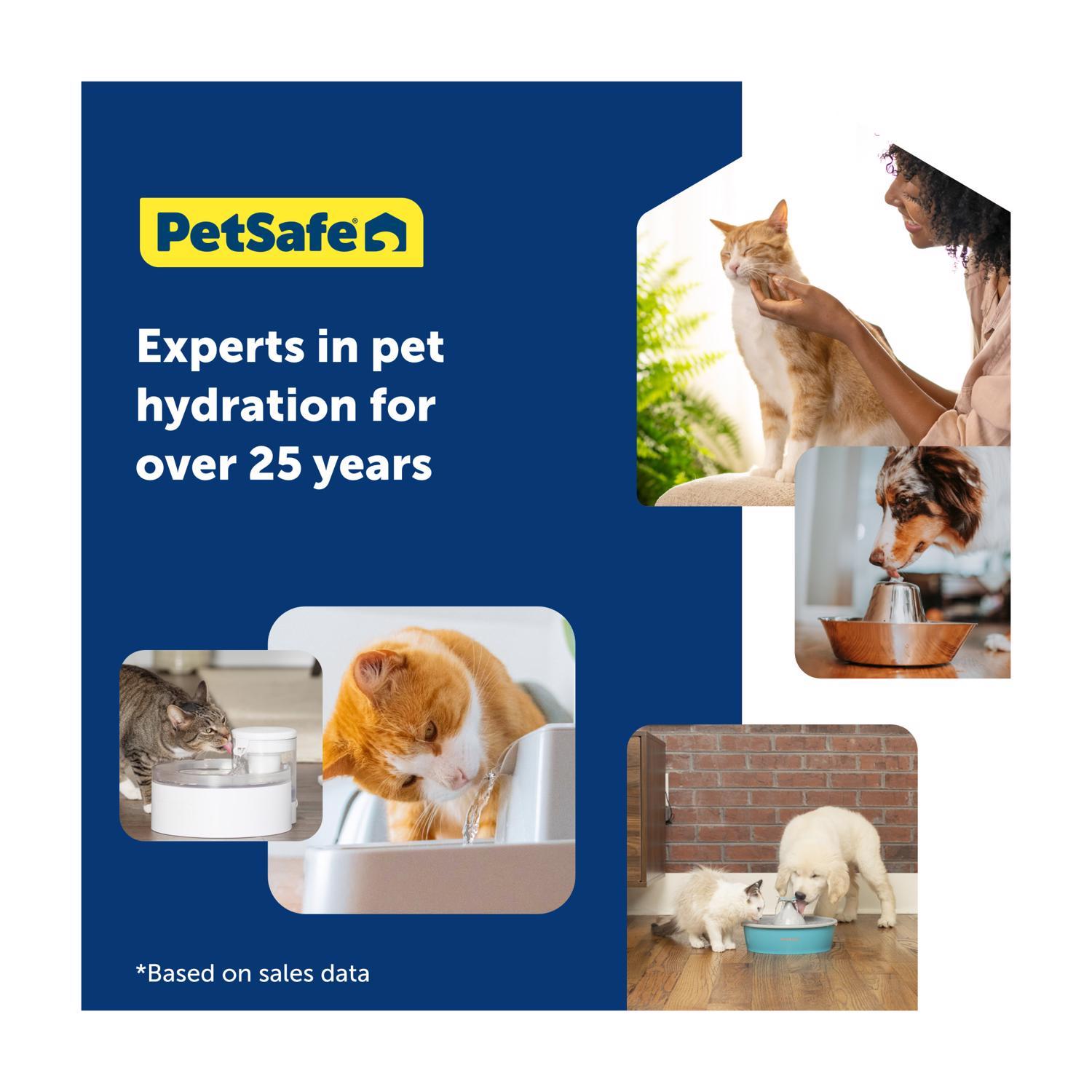 Petsafe White Plastic 64 oz Pet Water Fountain For All Pets