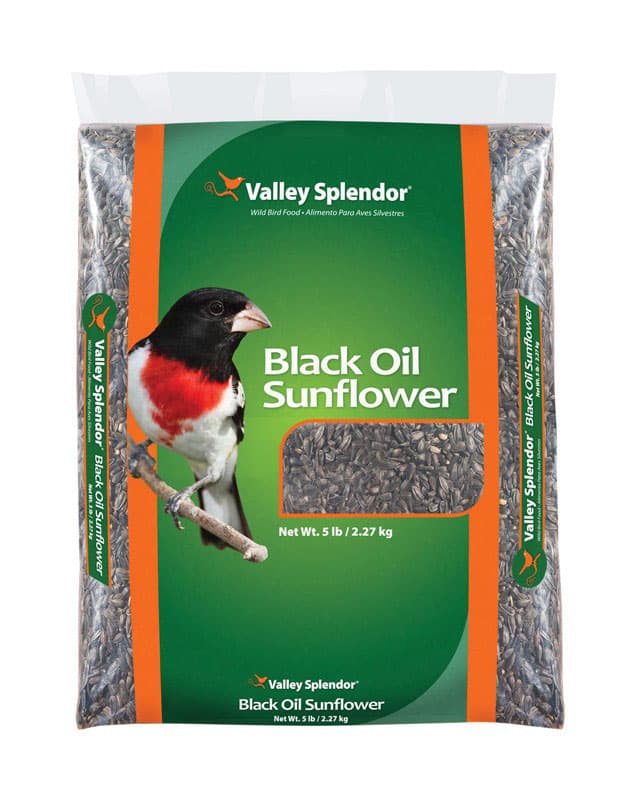 UPC 737539009050 product image for Valley Splendor Assorted Species Wild Bird Food Black Oil Sunflower Seed 5 lb. | upcitemdb.com