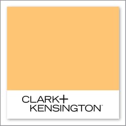 Clark+Kensington New York Taxi 17C-5