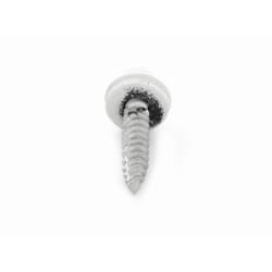Tuftex No. 10 X 1 in. L Hex Drive Hex Washer Head Coarse Roofing Screws