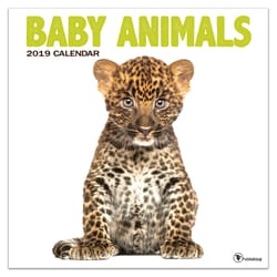 TF Publishing Baby Animals 2019 Calendar Fiber/Paper Laminate 1 pk