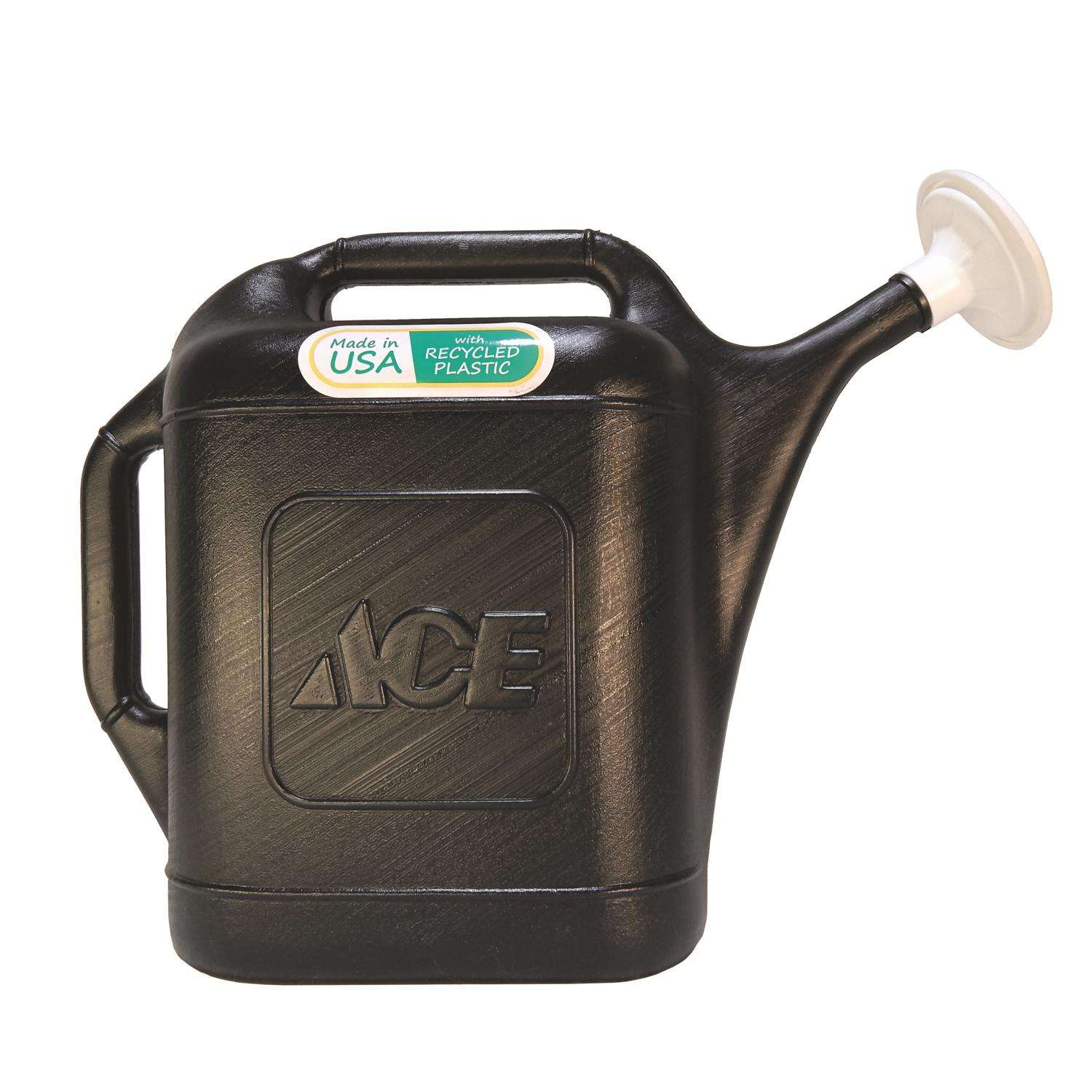 Ace Black 2 gal Plastic Watering Can
