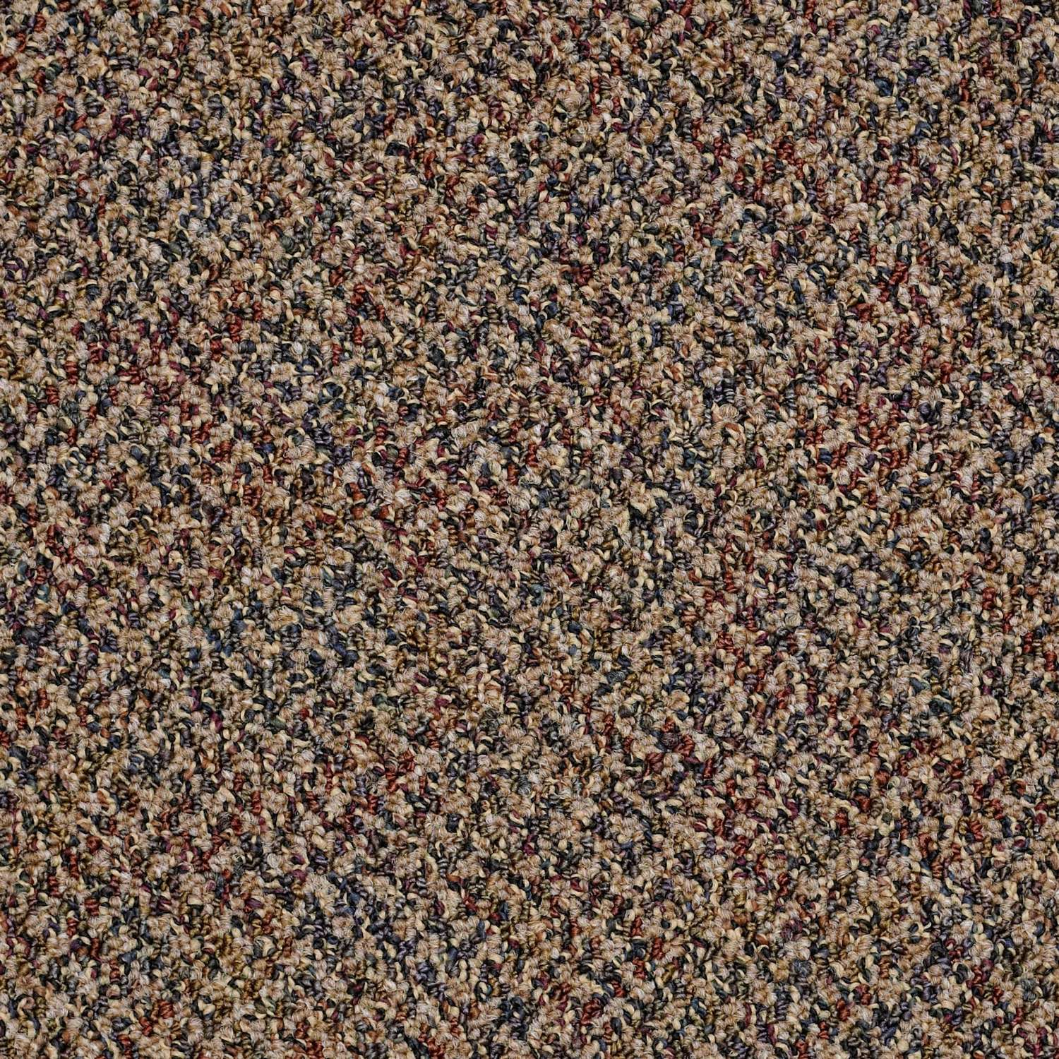 Shaw Floors Canyon Vista 24 in. W X 24 in. L Neutral Yarns Beige Carpet