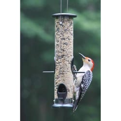 Birds Choice Wild Bird 1.5 lb Metal Tube Bird Feeder