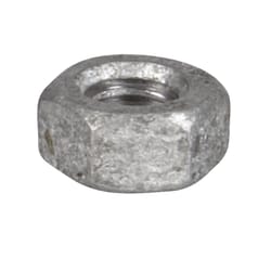 Hillman 1/4 in. Hot Dipped Galvanized Steel USS Hex Nut 100 pk