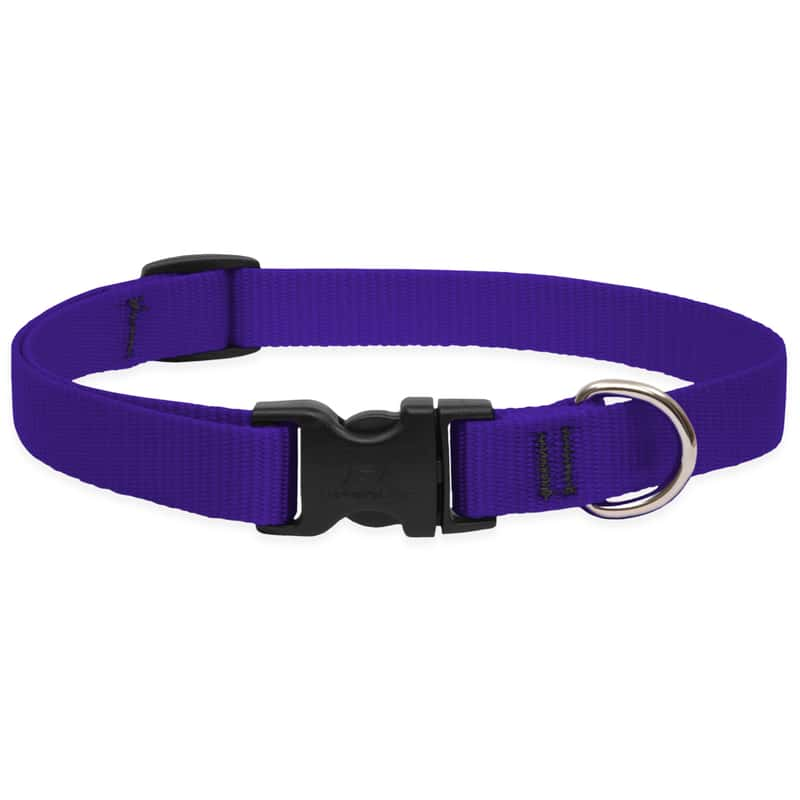 LupinePet Basic Solids Purple Purple Nylon Dog Adjustable Collar - Ace ...