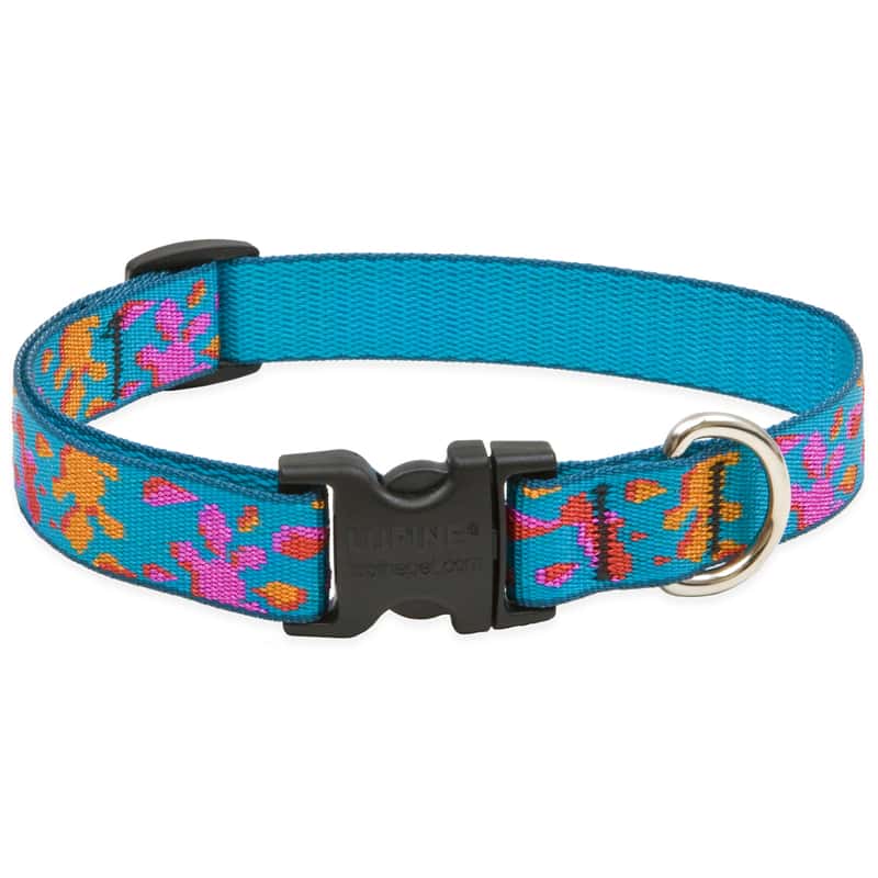 Lupine Pet Original Designs Multicolor Wet Paint Nylon Dog Adjustable