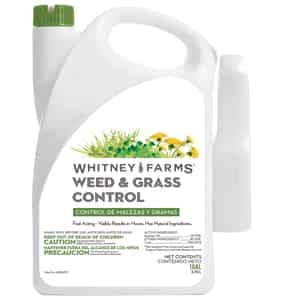 Whitney Farms  RTU Liquid  Organic Weed and Grass Control  1 gal. 