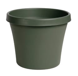 Bloem Terrapot 5.5 in. H X 6.5 in. W X 6 in. D Resin Traditional Planter Thyme Green
