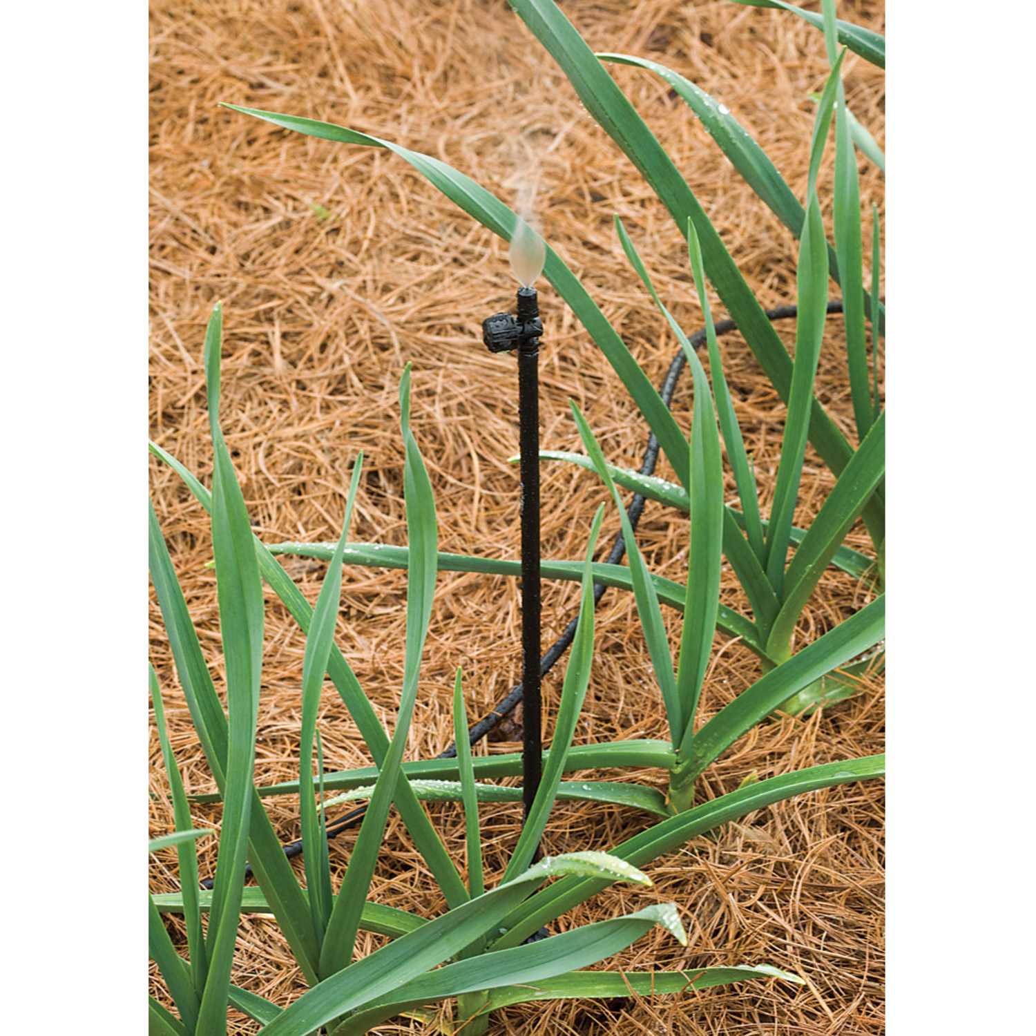 Rain Bird Drip Irrigation Tubing Stake Ace Hardware