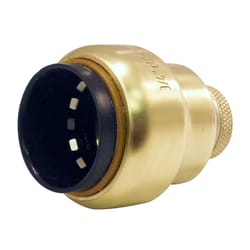 Apollo Tectite Push to Connect 3/4 in. PTC in to Brass Cap with Drain