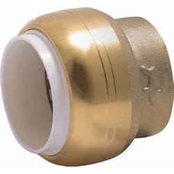 SharkBite Push to Connect 3/4 in. Brass Cap