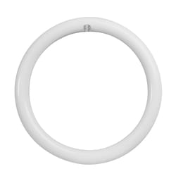 Feit Plug & Play T9 Cool White 12 in. G10Q Circular LED Bulb 32 Watt Equivalence 1 pk