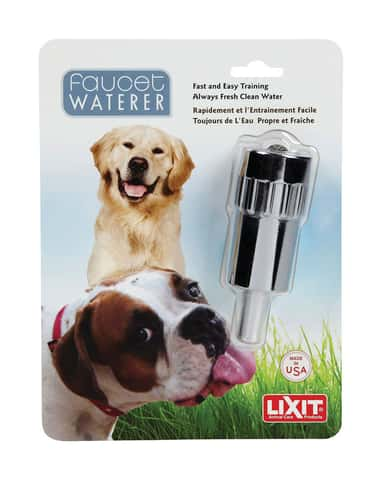 Dog water clearance spigot