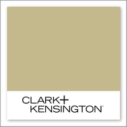 Clark+Kensington Pampas Grass 24B-4