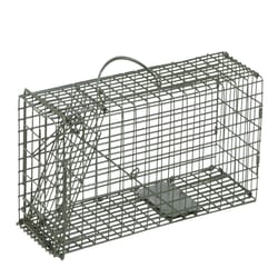 Duke Small Live Catch Cage Trap For Squirrels 1 pk