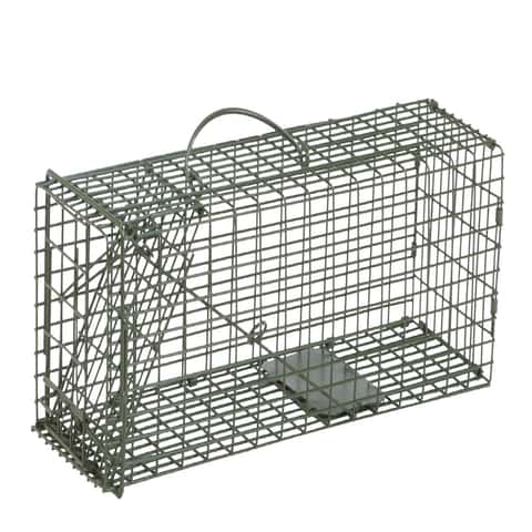 Duke Cage Animal Traps for Live Animal Capture - Jeffers