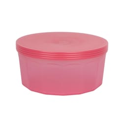 TarHong Watermelon Polypropylene Foodie Gear 42 oz
