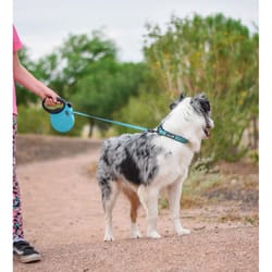 Alcott Red Adventure Plastic Dog Retractable Leash X-Large