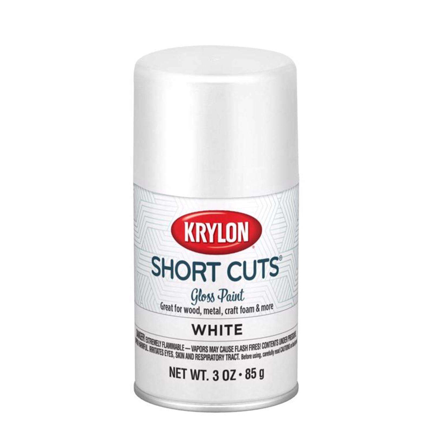 Krylon Appliance Epoxy Gloss White Spray Paint (NET WT. 12-oz) in the Spray  Paint department at