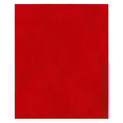 Diablo SandNet 11 in. L X 9 in. W 220 Grit Ceramic Sanding Sheet 5 pk
