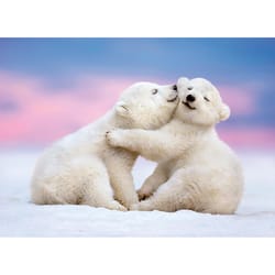 Avanti Press Seasonal Polar Bear Cubs Valentine's Day Card Paper 2 pc