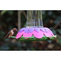 Nature's Way So Real Hummingbird 20 oz Glass/Plastic Gravity Nectar Feeder 5 ports