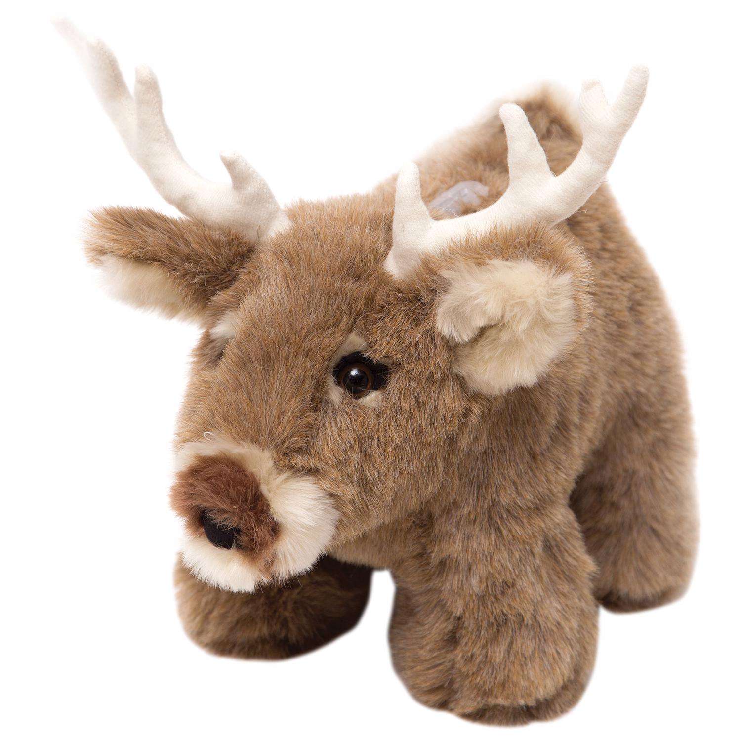 Carstens Inc 6 in. H X 8 in. W X 12 in. L Multicolored Polyester Coin