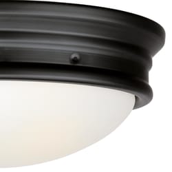 Westinghouse Meadowbrook Switch Incandescent Matte Black Outdoor Light Fixture Hardwired