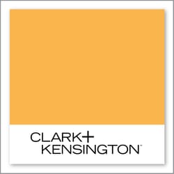 Clark+Kensington Sunny Side 17C-6