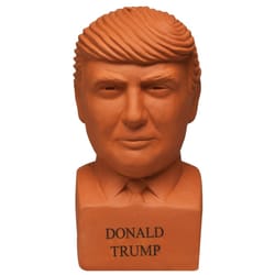 Chia Pet Donald Trump Decorative Planter Clay 1 pk