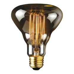 Globe Electric Designer Labo 40 W G40 Decorative Incandescent Bulb E26 (Medium) Amber 1 pk
