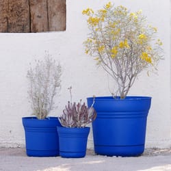 Bloem Saturn 12.75 in. H X 14.5 in. W Plastic Traditional Planter Blue