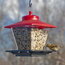 Audubon Wild Bird 7 lb Plastic Cafe Bird Feeder 4 ports