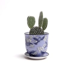 Chive Liberte 3.25 in. D Ceramic Succulent Pot Blue Swallows