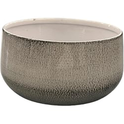 Robert Allen 6 in. D Steel Mini Bella Bowl Planter Dusted Pearl