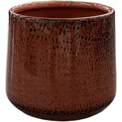 Robert Allen 3 in. D Steel Mini Bella Pot Planter Rust