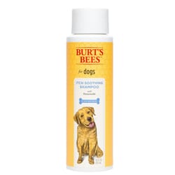 Burt's Bees Honeysuckle Dog Soothing Itch Shampoo 16 oz