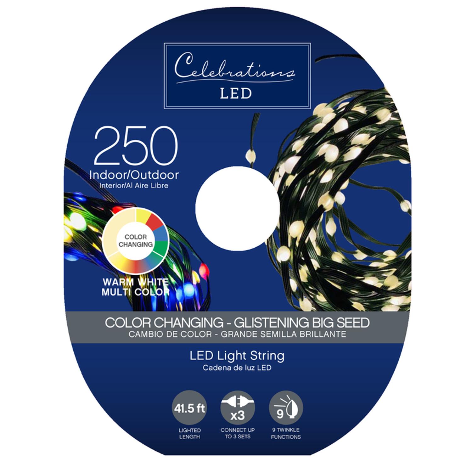 Celebrations LED Micro Dot/Fairy Multicolored 250 ct String Christmas  Lights 41.6 ft.